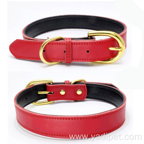 Leather dog collar with gold buckle collar